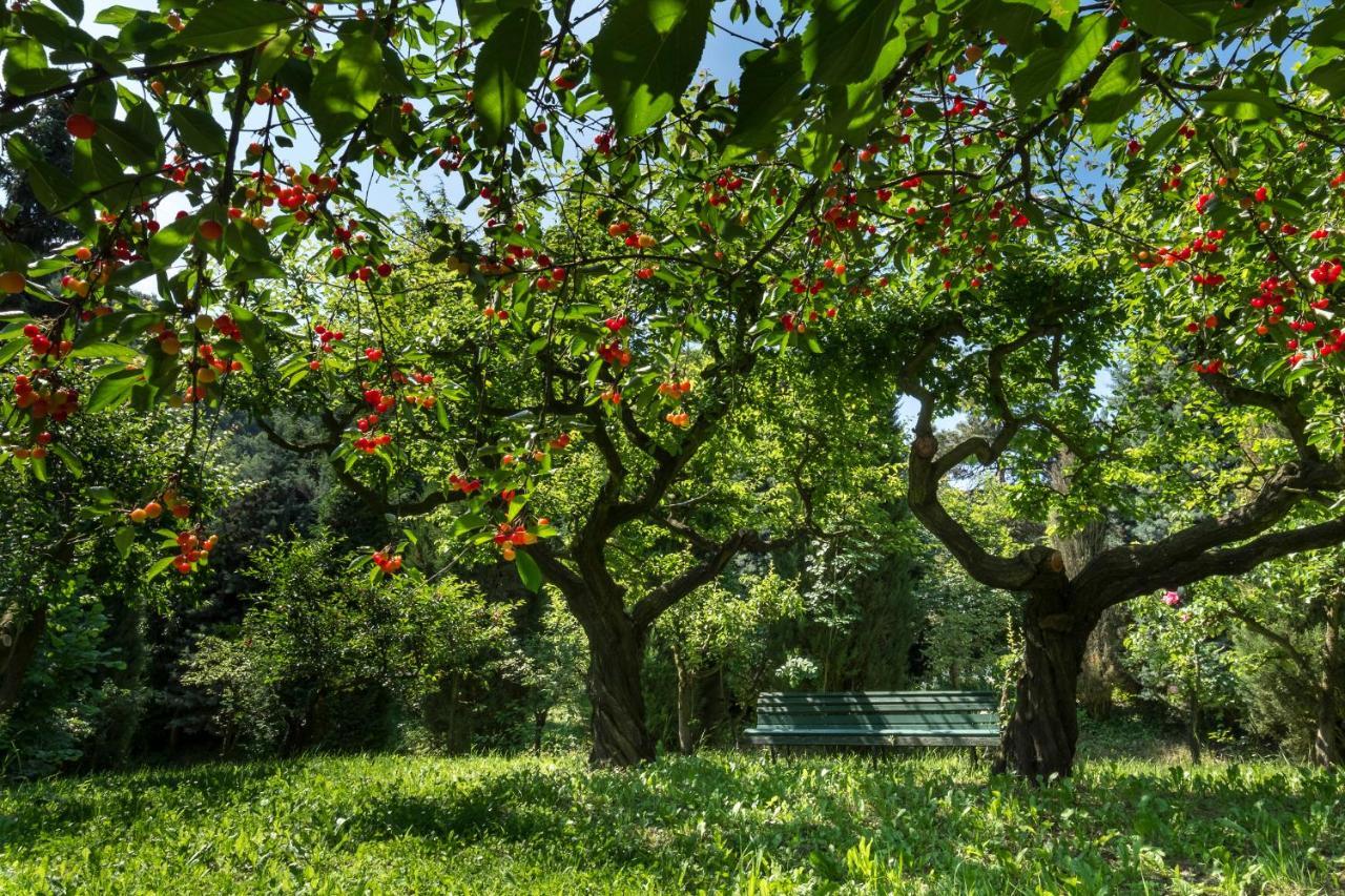 Bed & Breakfast Sotto I Sassi *